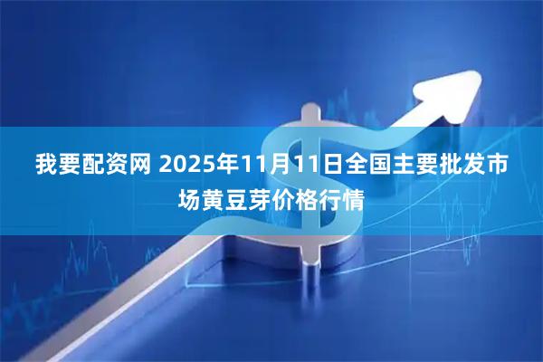 我要配资网 2025年11月11日全国主要批发市场黄豆芽价格行情